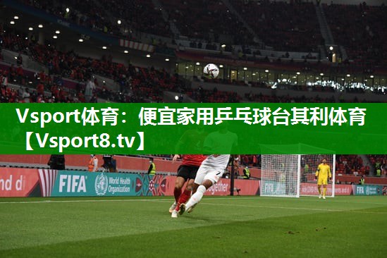 Vsport体育：便宜家用乒乓球台其利体育