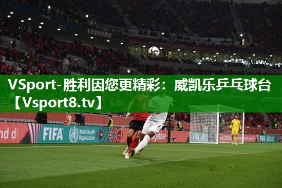 VSport-胜利因您更精彩：威凯乐乒乓球台