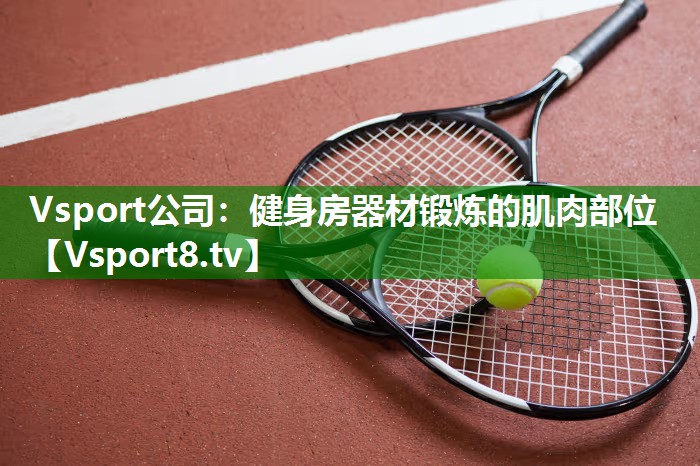 <strong>Vsport公司：健身房器材锻炼的肌肉部位</strong>