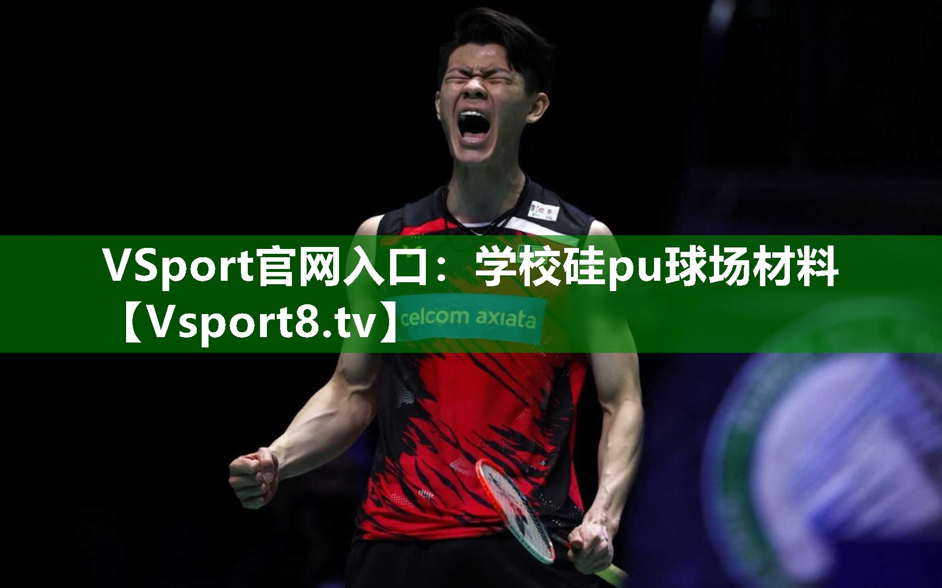 <strong>VSport官网入口：学校硅pu球场材料</strong>