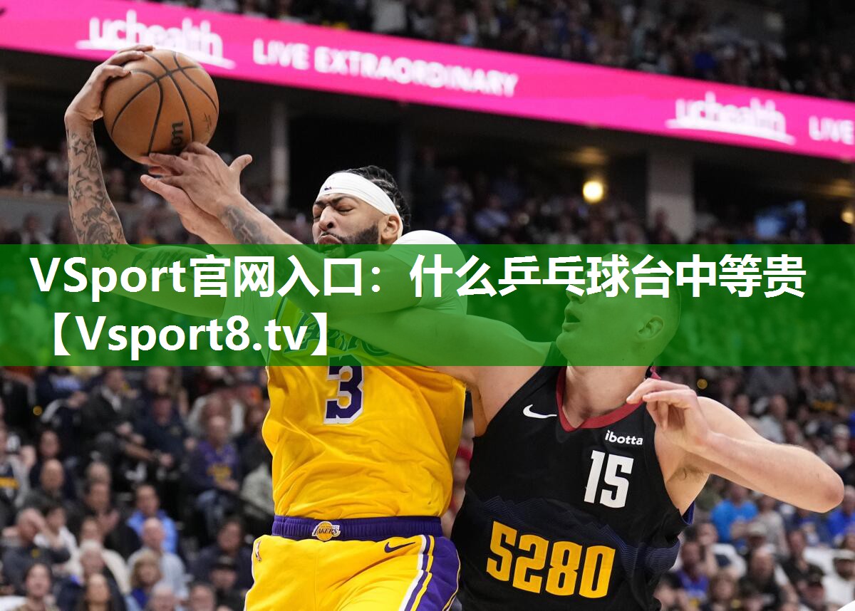 <strong>VSport官网入口：什么乒乓球台中等贵</strong>