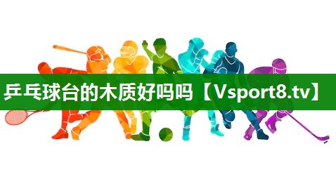乒乓球台的木质好吗吗